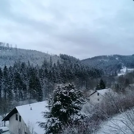 Wald-ausblick Appartement *