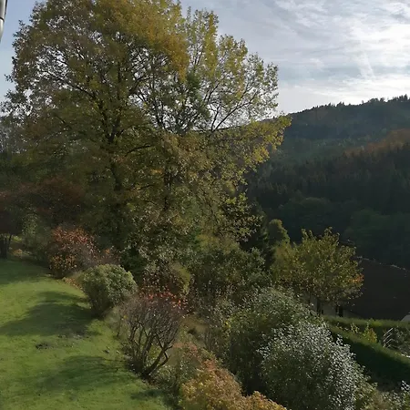 Wald-ausblick * Willingen (Upland)
