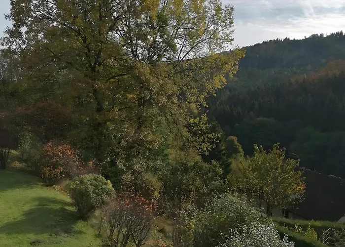 Wald-ausblick * Willingen (Upland)