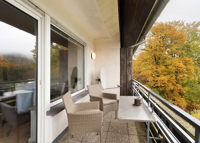 Wald-ausblick Willingen (Upland)