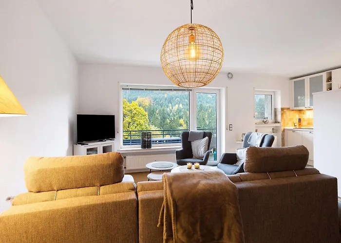 Wald-ausblick Willingen (Upland)